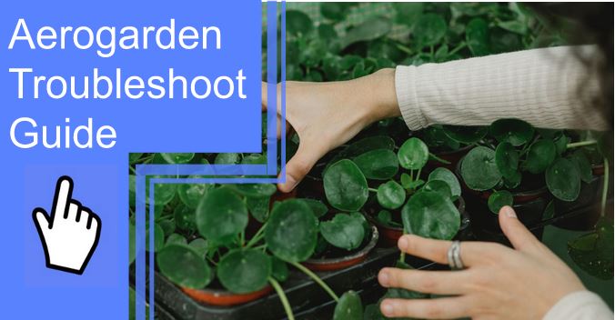 aerogarden troubleshooting